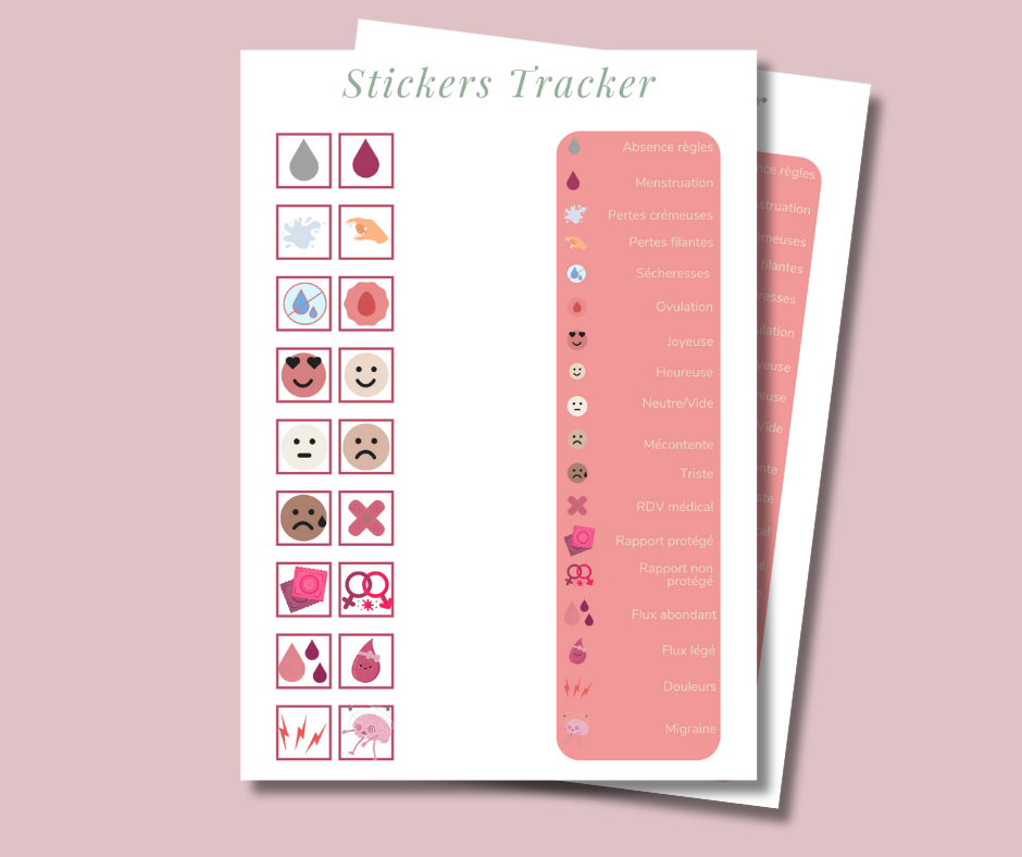 Carnet Tracker Menstruel - 12 mois + stickers