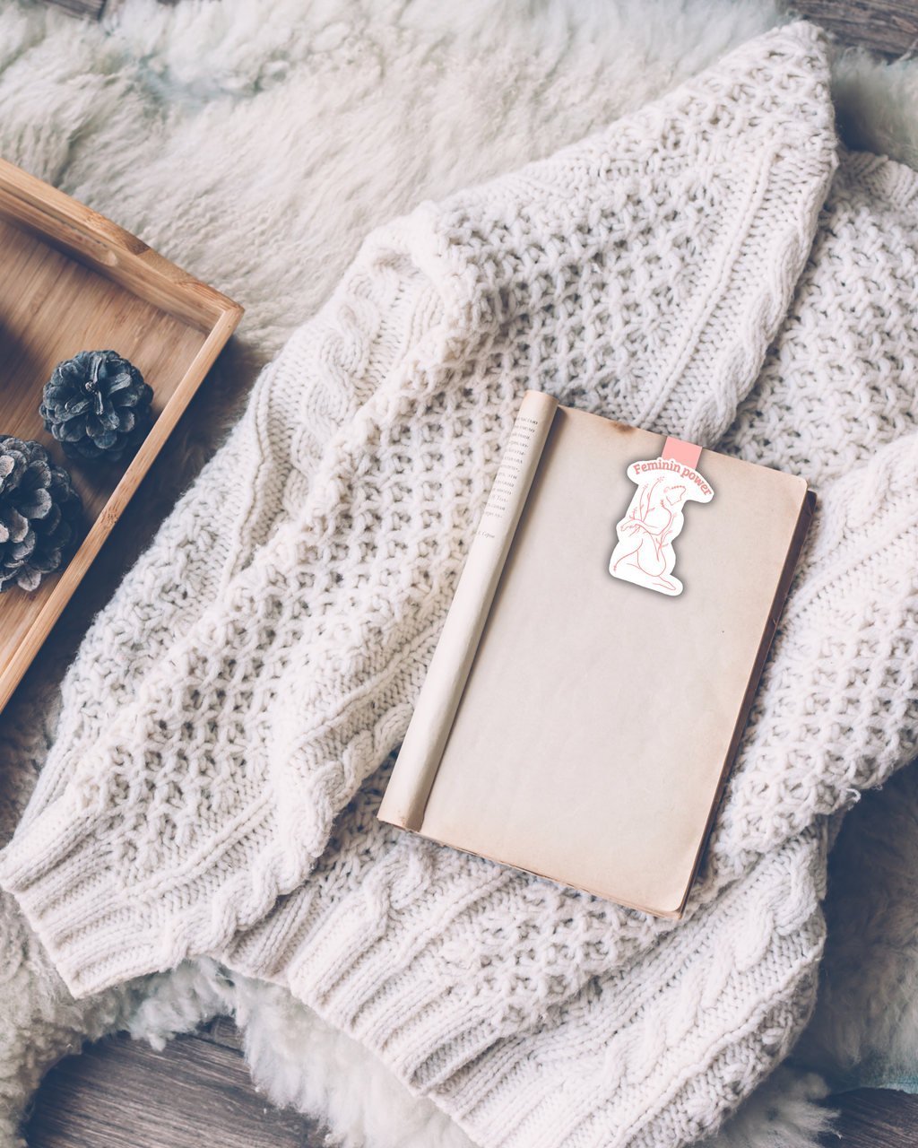 Marque-page magnétique