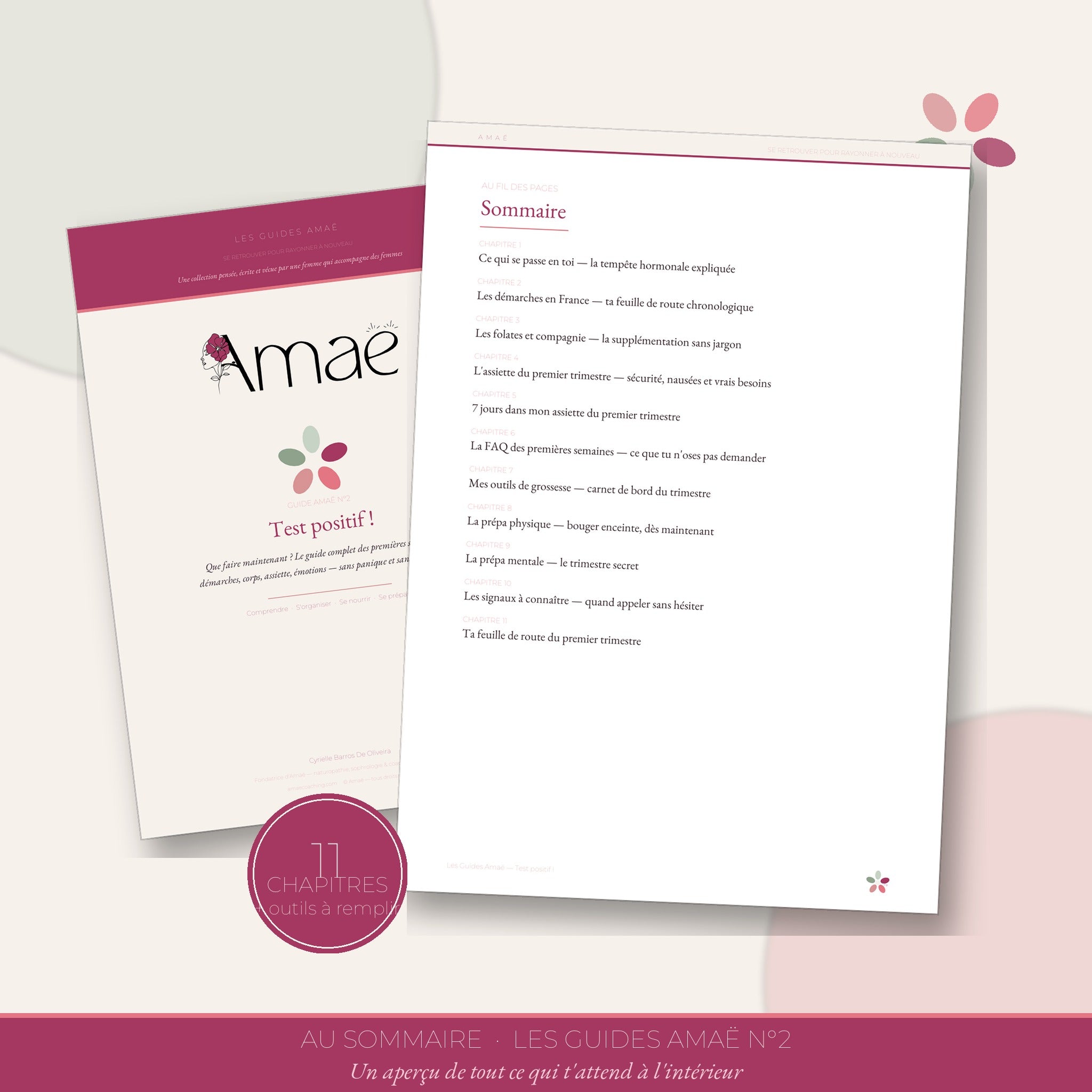 Test positif ! — Le guide complet des premières semaines de grossesse (Ebook PDF)